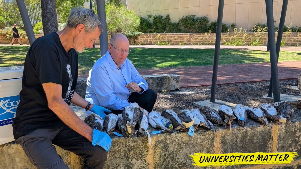 Universities Australia tweet media