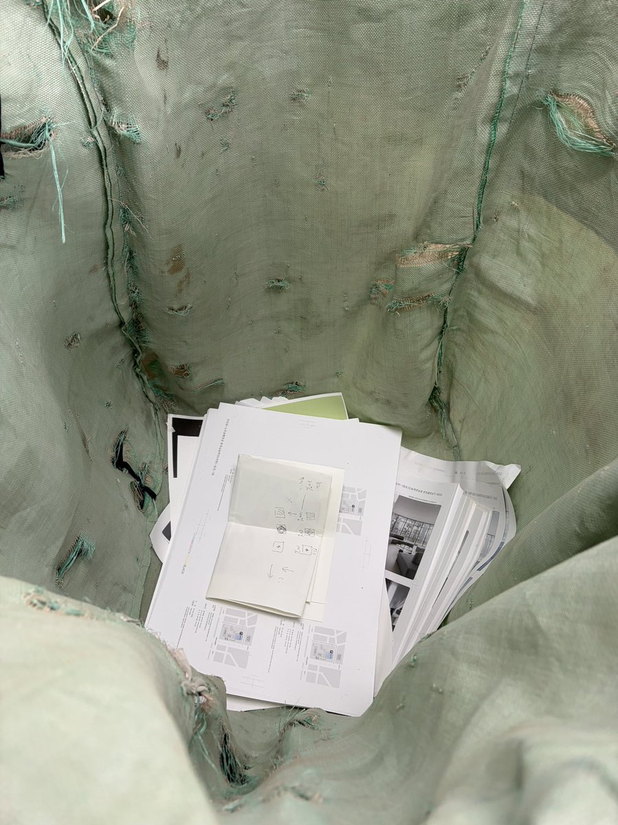 도리핑 tweet media