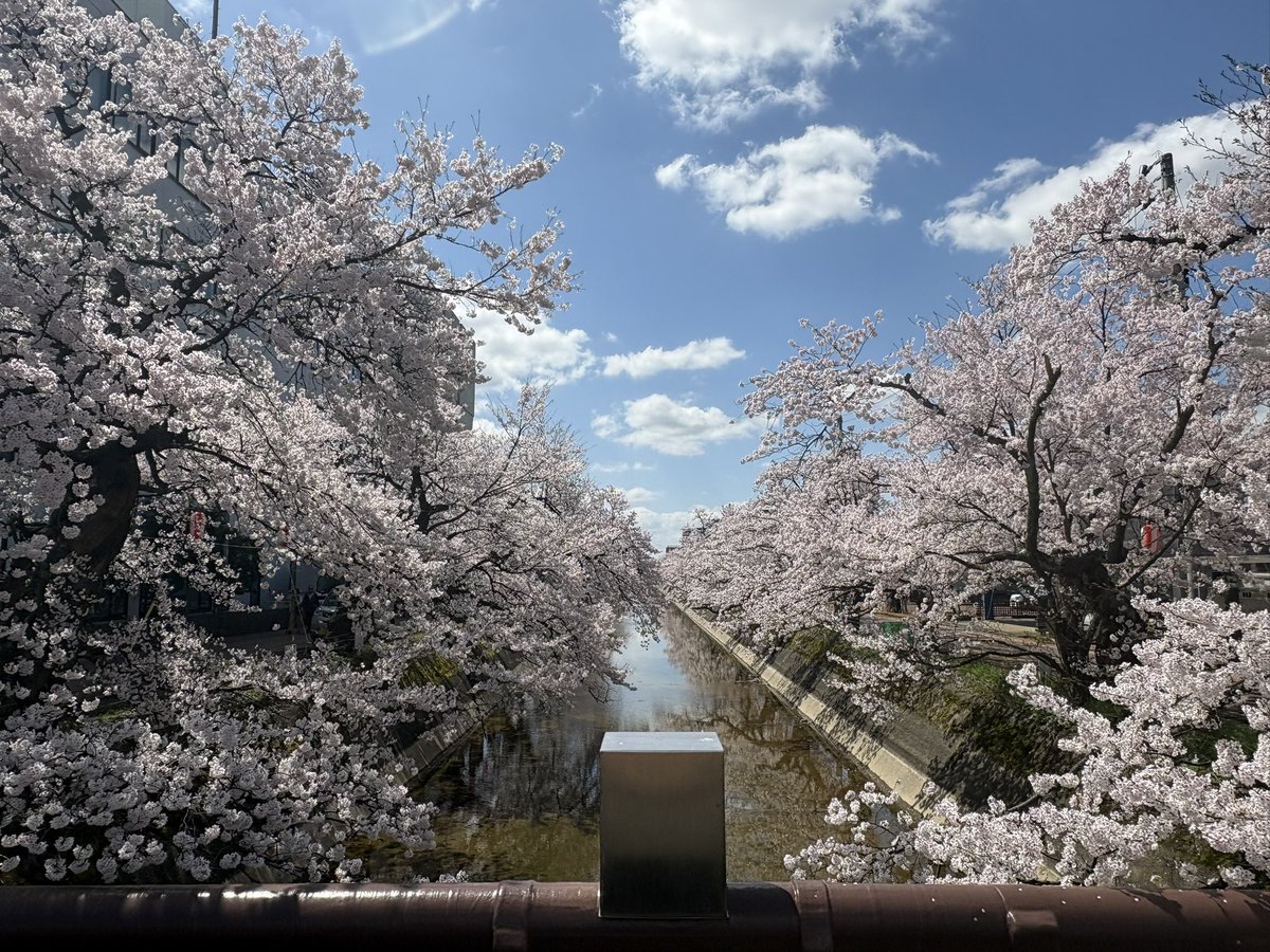 わたっこ tweet media