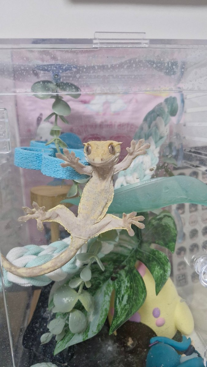 나윤이 tweet media