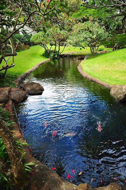 motivated_life1's tweet image. Are you satisfied with the pace of your life stream? 

If not, what's hindering your progress? 

Identify the roadblocks and work towards a smoother flow in your life.

 #LifeGoals, #PersonalDevelopment