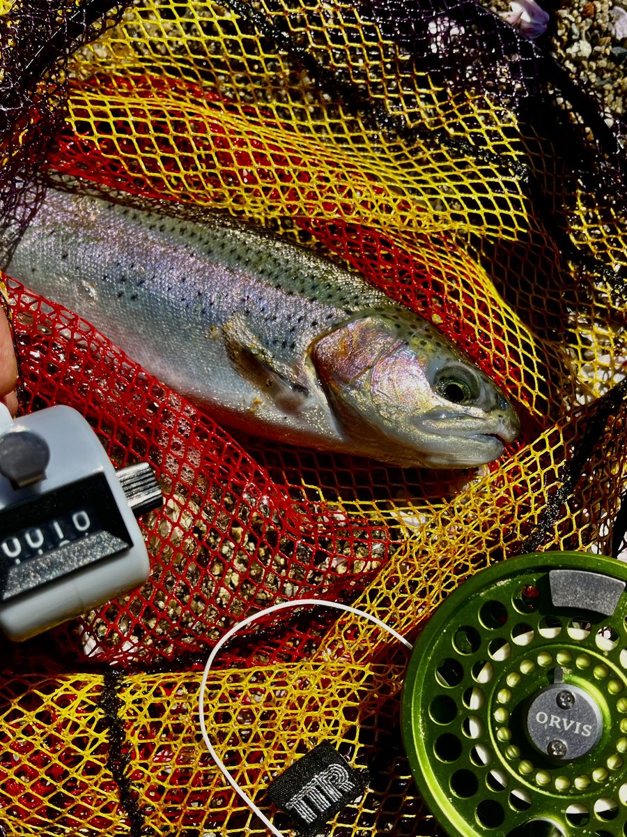 釣男(Tsurio) tweet media