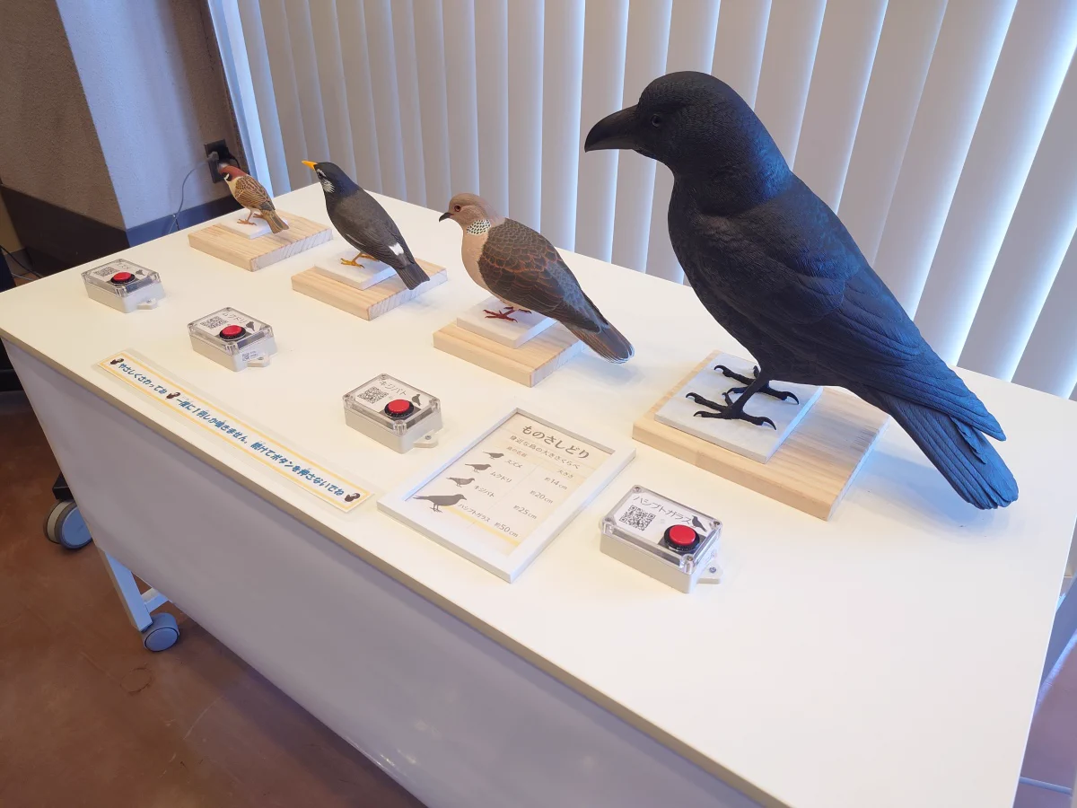 我孫子市鳥の博物館 on X: 