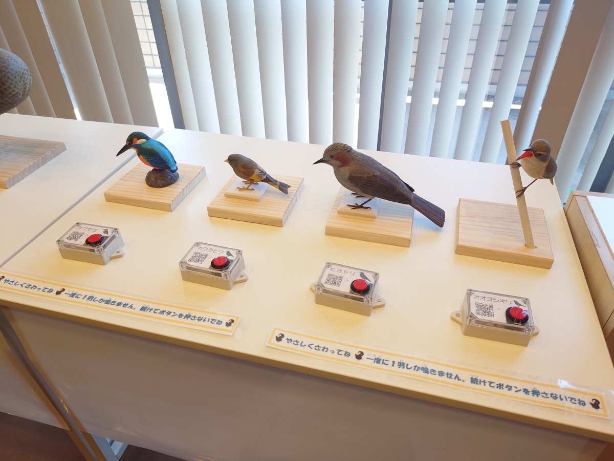 鳴き声装置の鳥の模型は、バードカービングの第一人者の内山春雄さん 鳴き声装置の鳥の模型は、バードカービングの第一人者の内山春雄さん