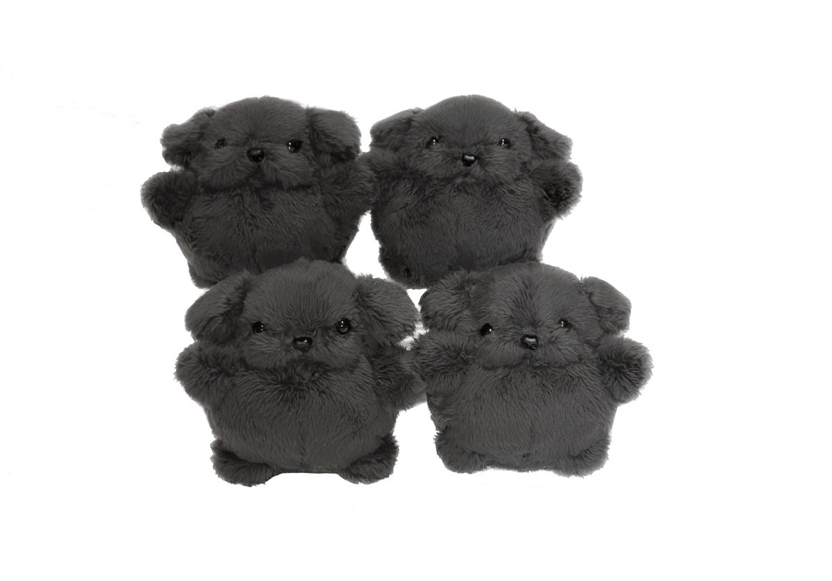 犬ダンス tweet media