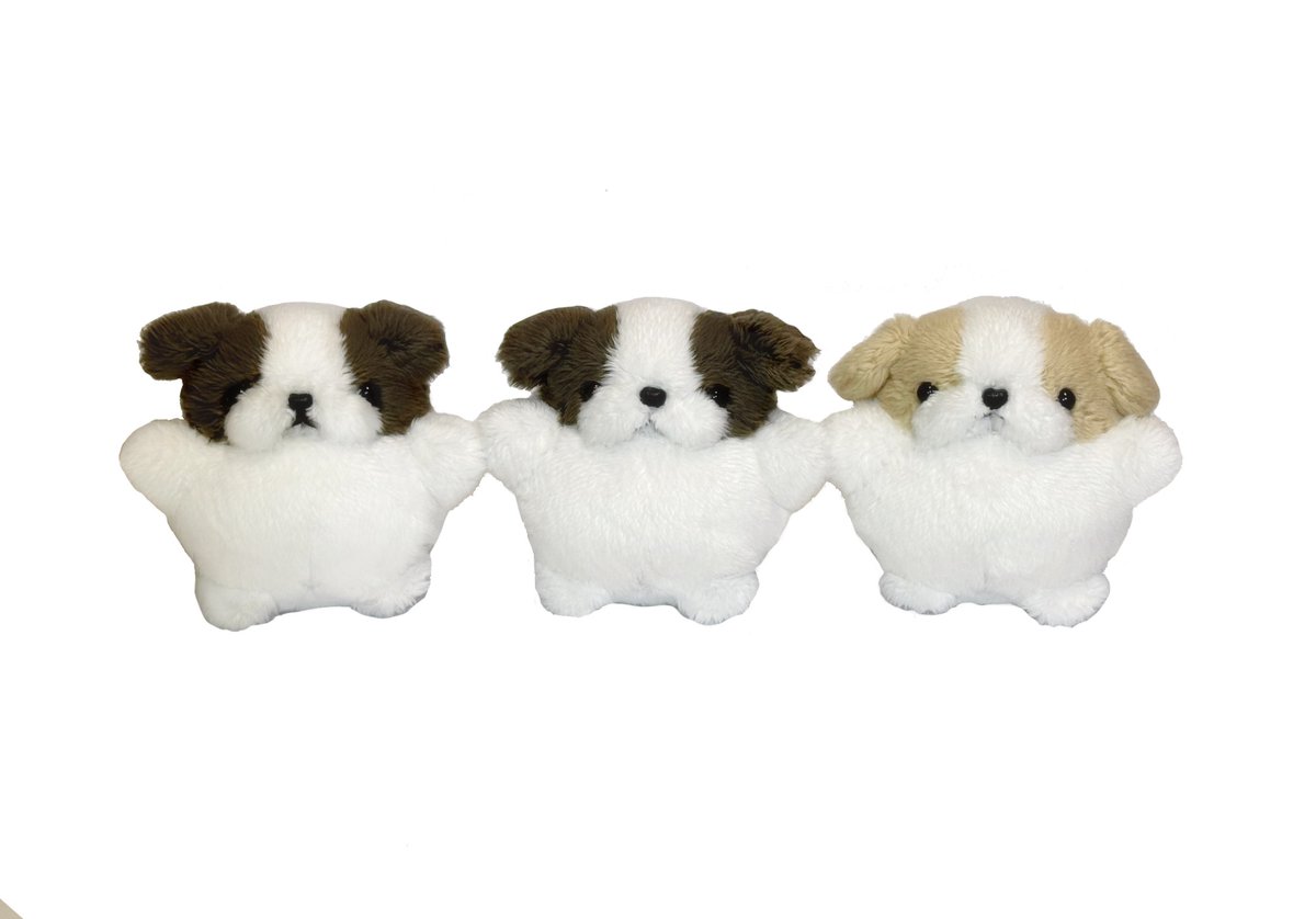 犬ダンス tweet media