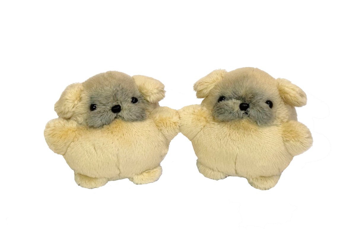 犬ダンス tweet media