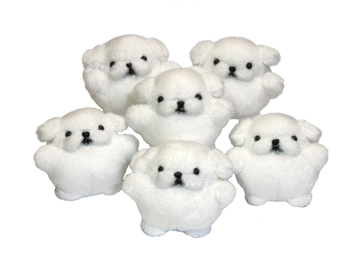 犬ダンス tweet media