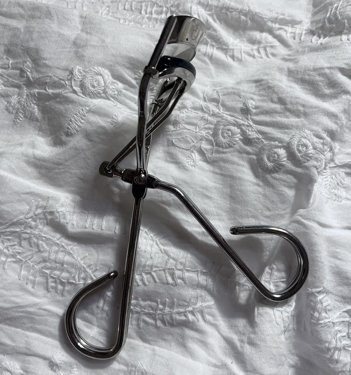 fin🦢🫧 tweet media