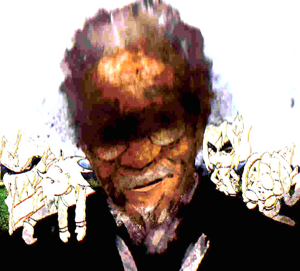 vibingleaf tweet media