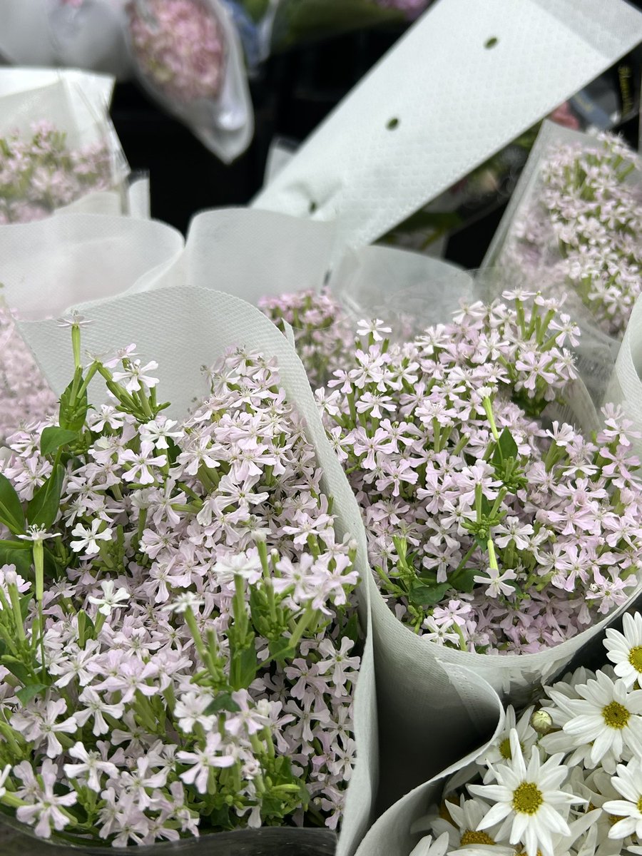 peaceandlove tweet media