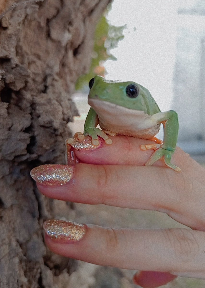 Mariela | Neurodocente 🧠 tweet media