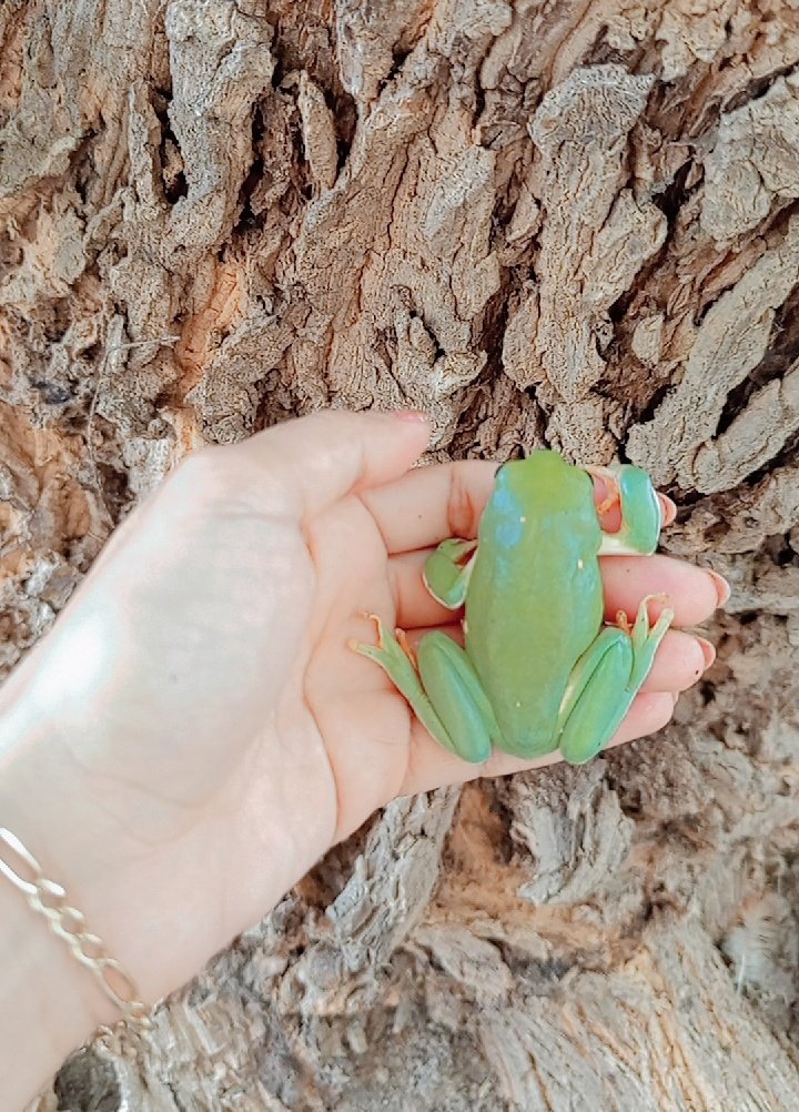 Mariela | Neurodocente 🧠 tweet media