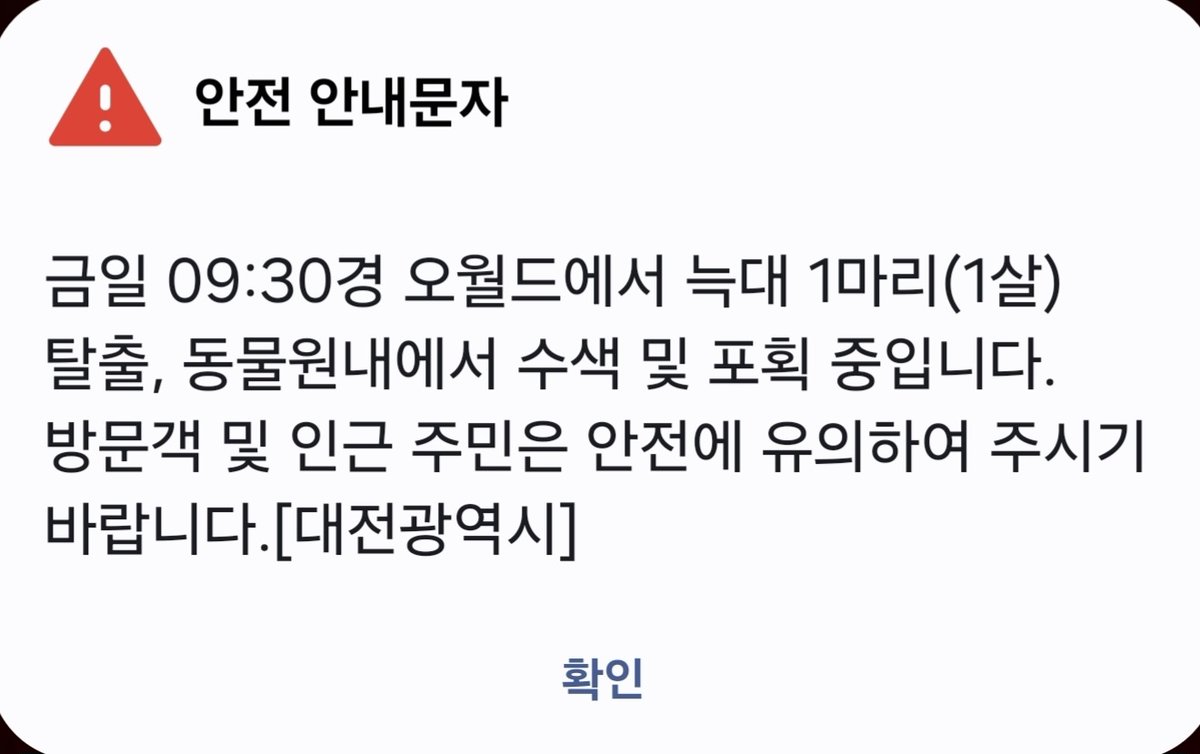 미츄깅 tweet media