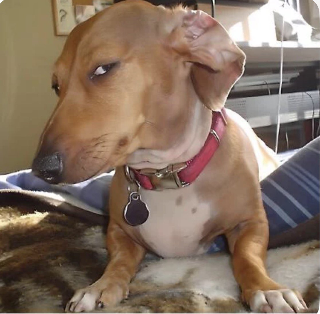 jhess⁷ VAI VER O BTS 🪭 tweet media