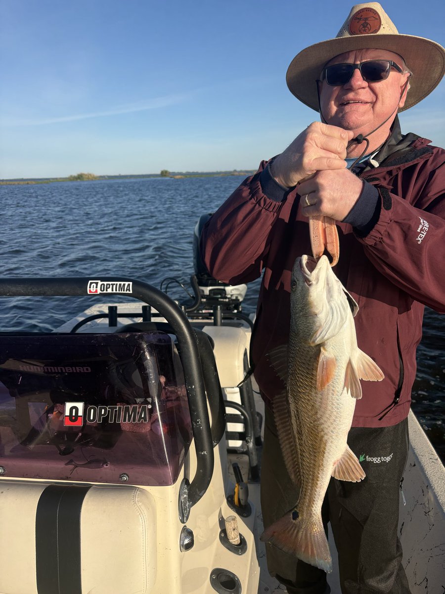 dufrenesguide's tweet photo. David Lynn and friends fished hard this am to get limits of reds and a few bonus fish. #MinnKota 
#Humminbird  
#Raptor
#Solix 
#OPTIMAbatteries
#BomberLures #PennFishing #BerkleyFishing
@MinnKota
@humminbird
#MajekBoats
#Spiderwire
#OPTIMABattery https://t.co/QyOgQveIYj