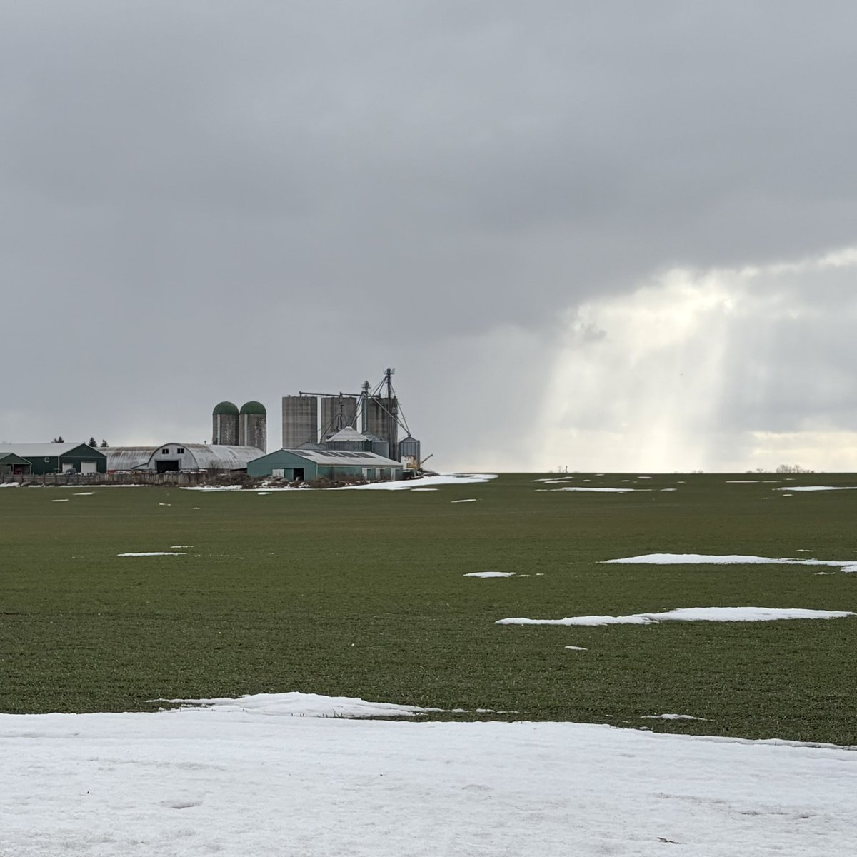 sigmahed 🇵🇸 tweet media