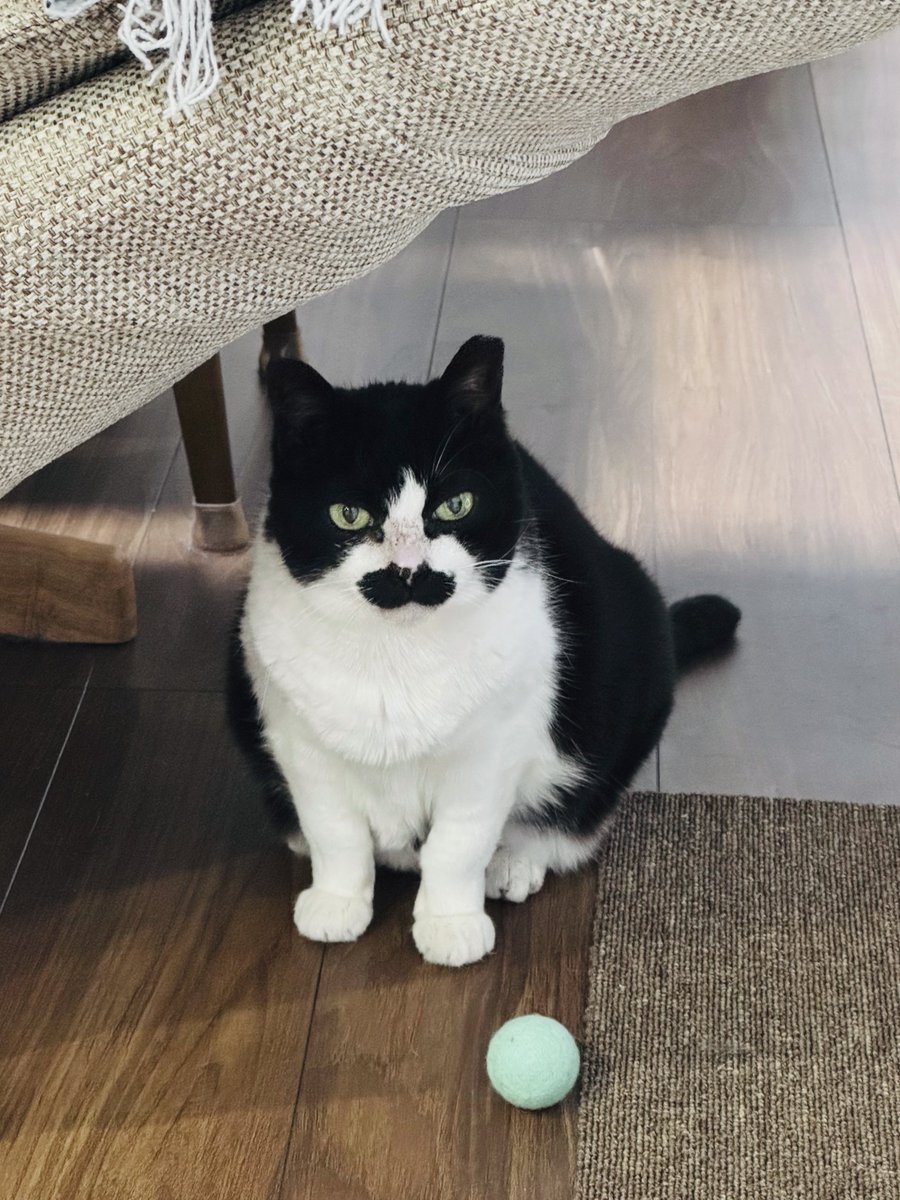 水夜子 tweet media