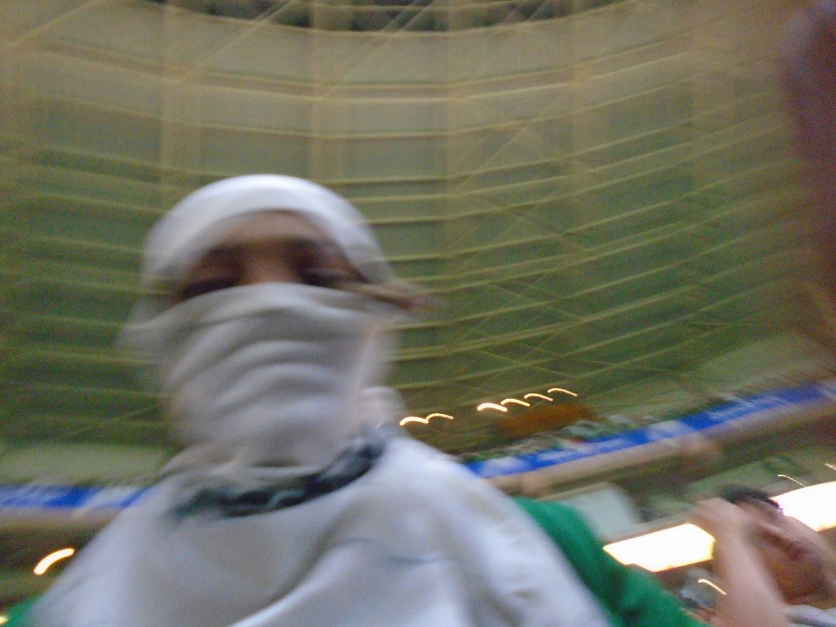 sepiezika🇮🇹🇵🇸 tweet media