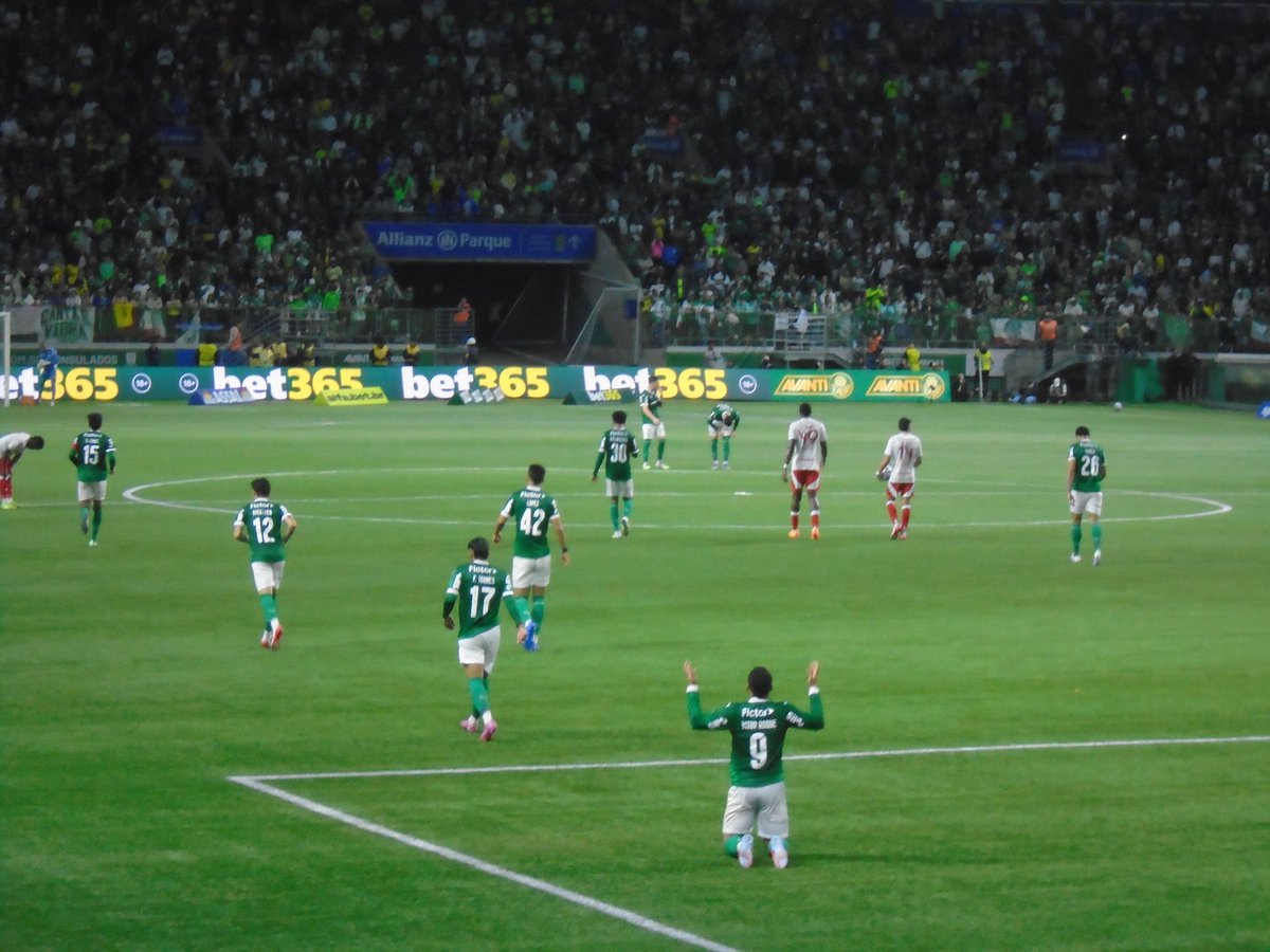 sepiezika🇮🇹🇵🇸 tweet media