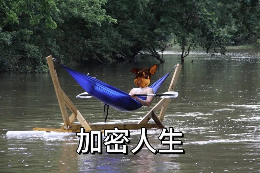 beedog_bsc's tweet image. GM GM