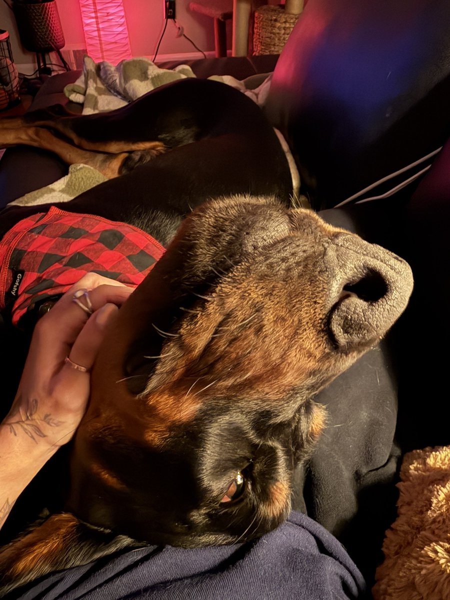 warm soft bitch tweet media