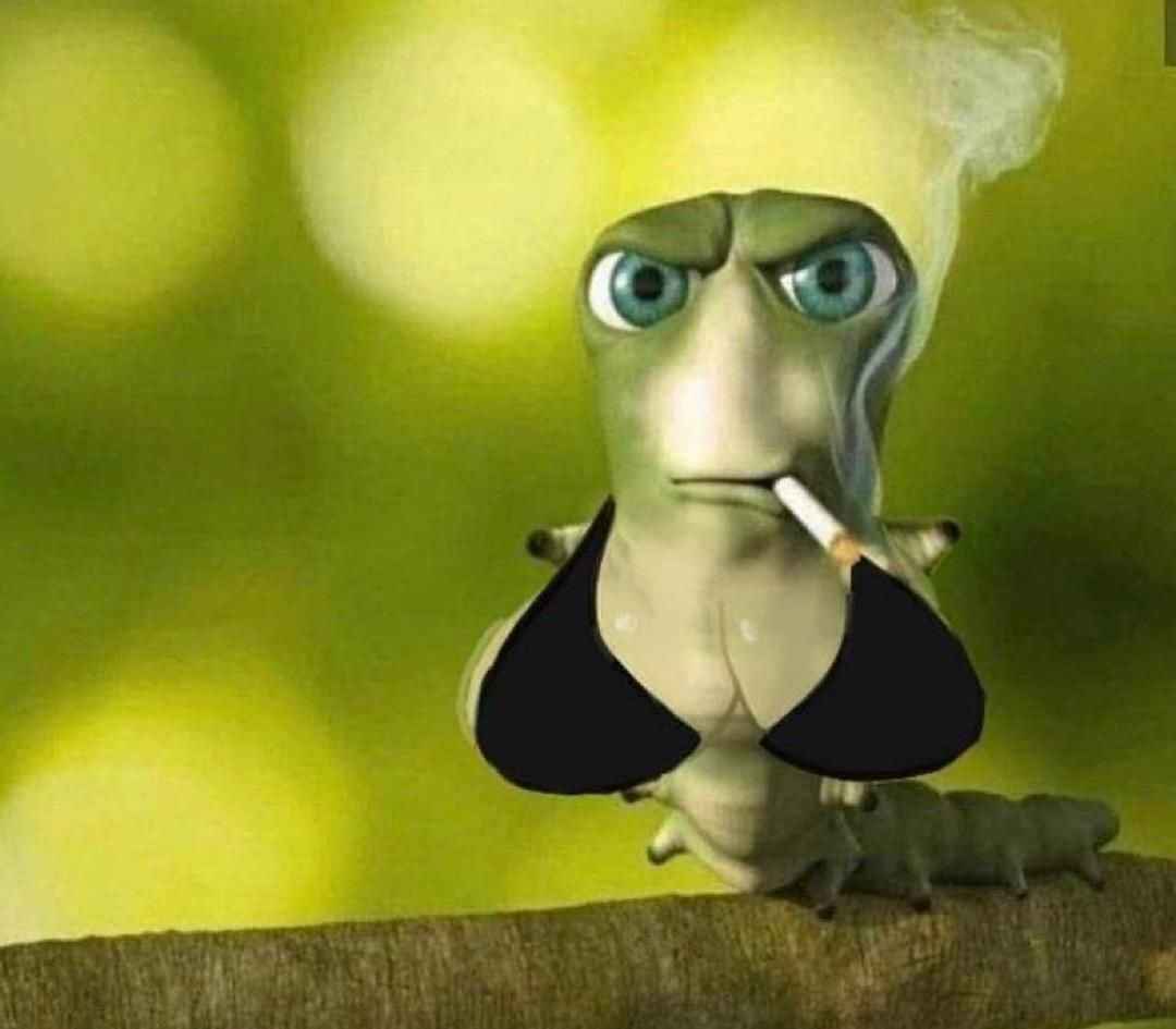 Haddienator tweet media