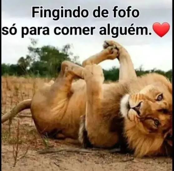 庵 utahime. 𑅝 tweet media