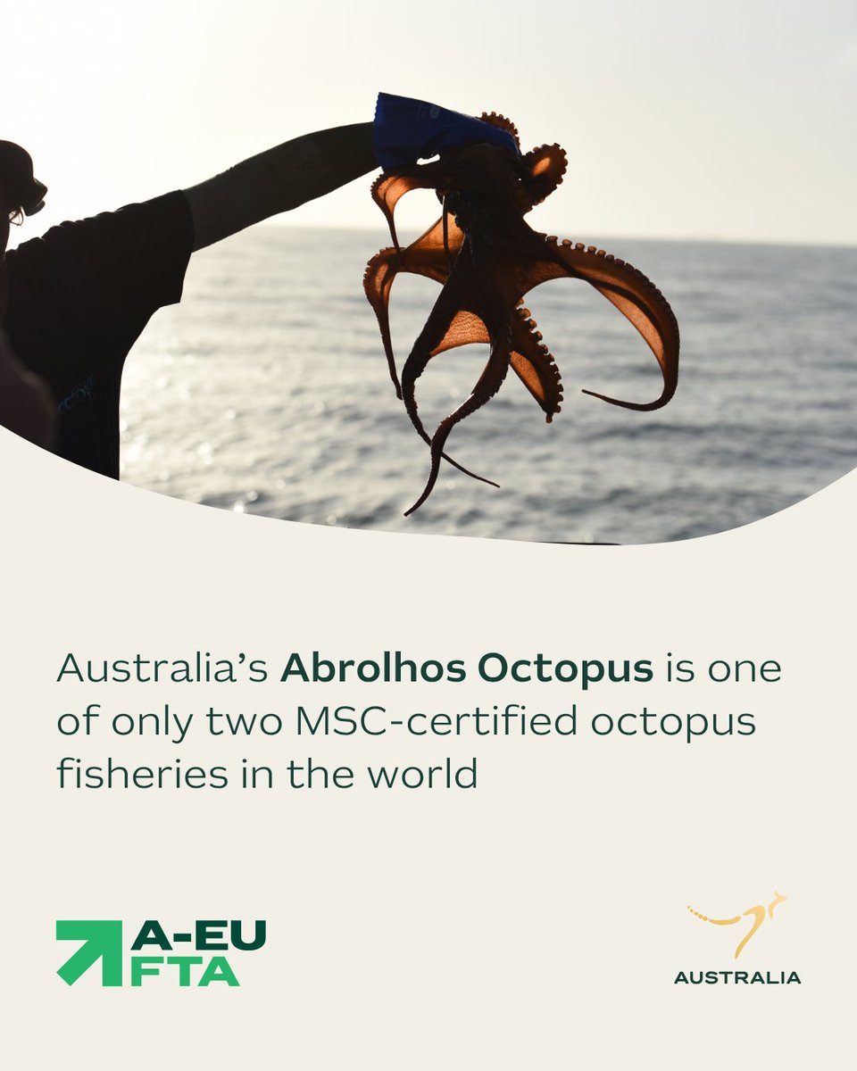 Austrade tweet media