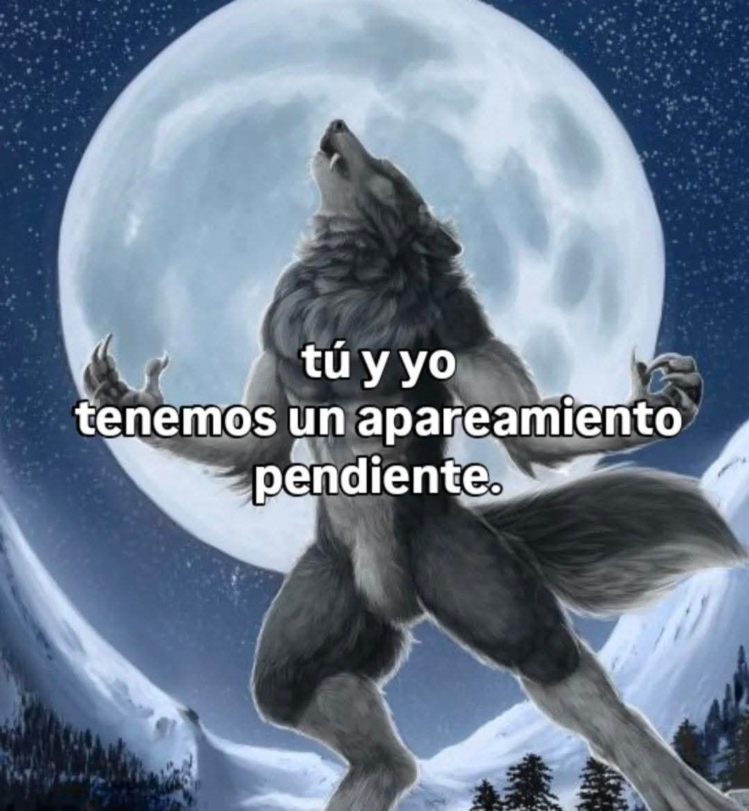 🇲🇽 México Mágico ✨ tweet media