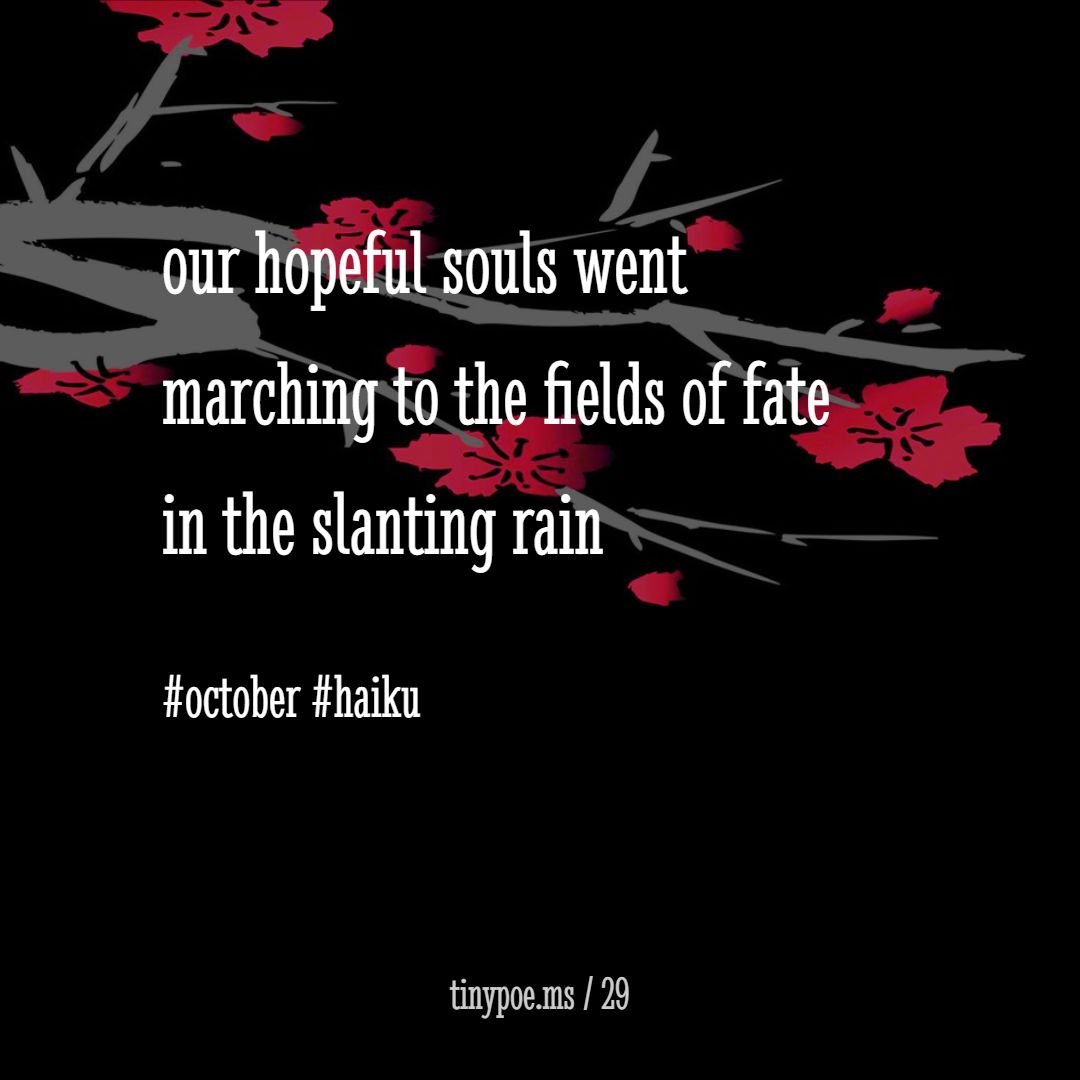 karmaniverous's tweet image. our hopeful souls went
marching to the fields of fate
in the slanting rain

#october #haiku

tinypoe.ms/29
