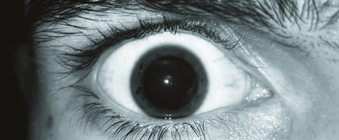 ♯ 𝕾 tweet media