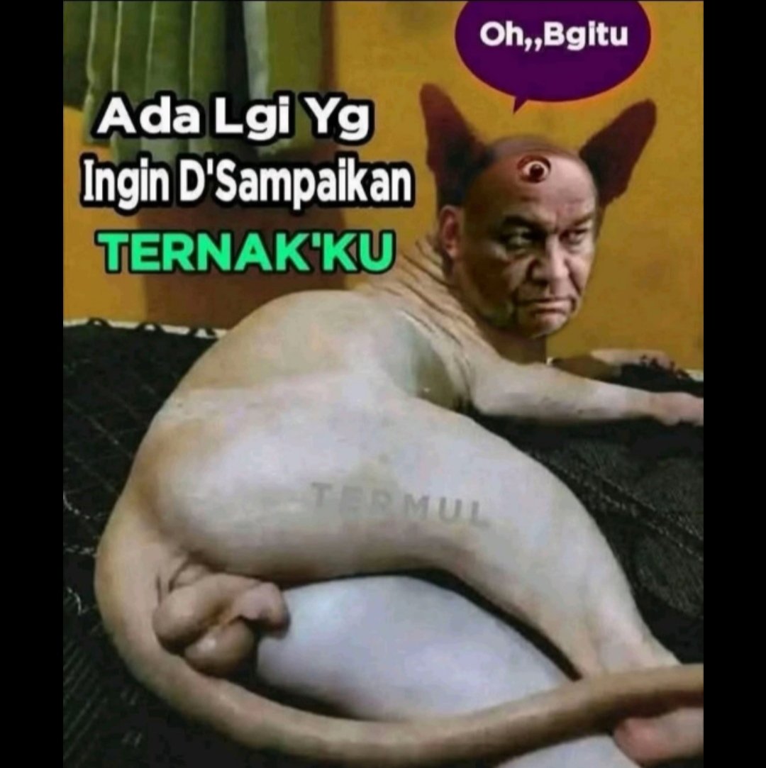 anusbasetan tweet media