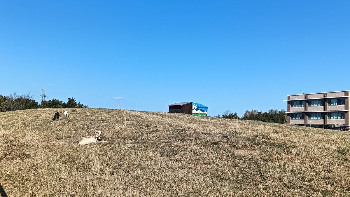 おはようございます！
ぬけるような青空が広がっています☀️

今日もよい一日をお過ごしください
