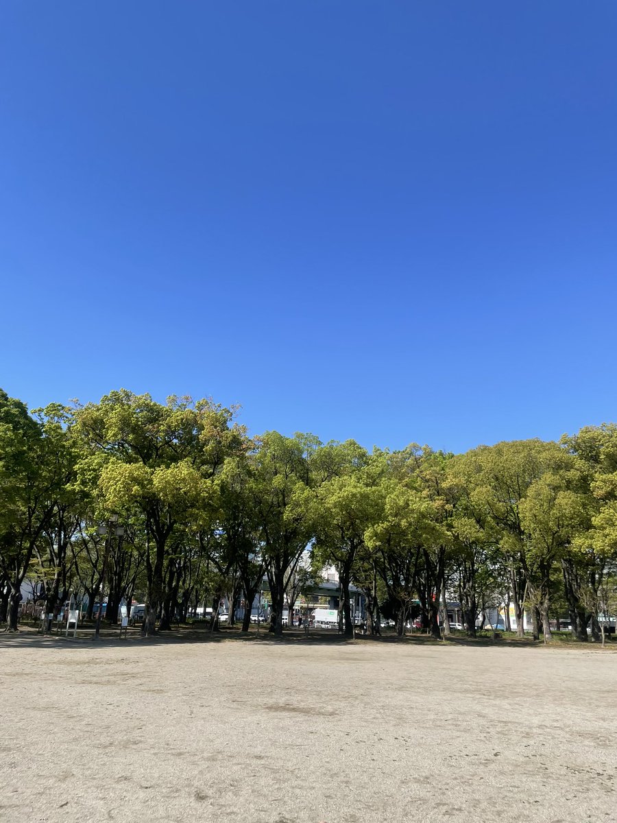 おはよう御座います！

いい天気！

早く戦争が終わりますように😥