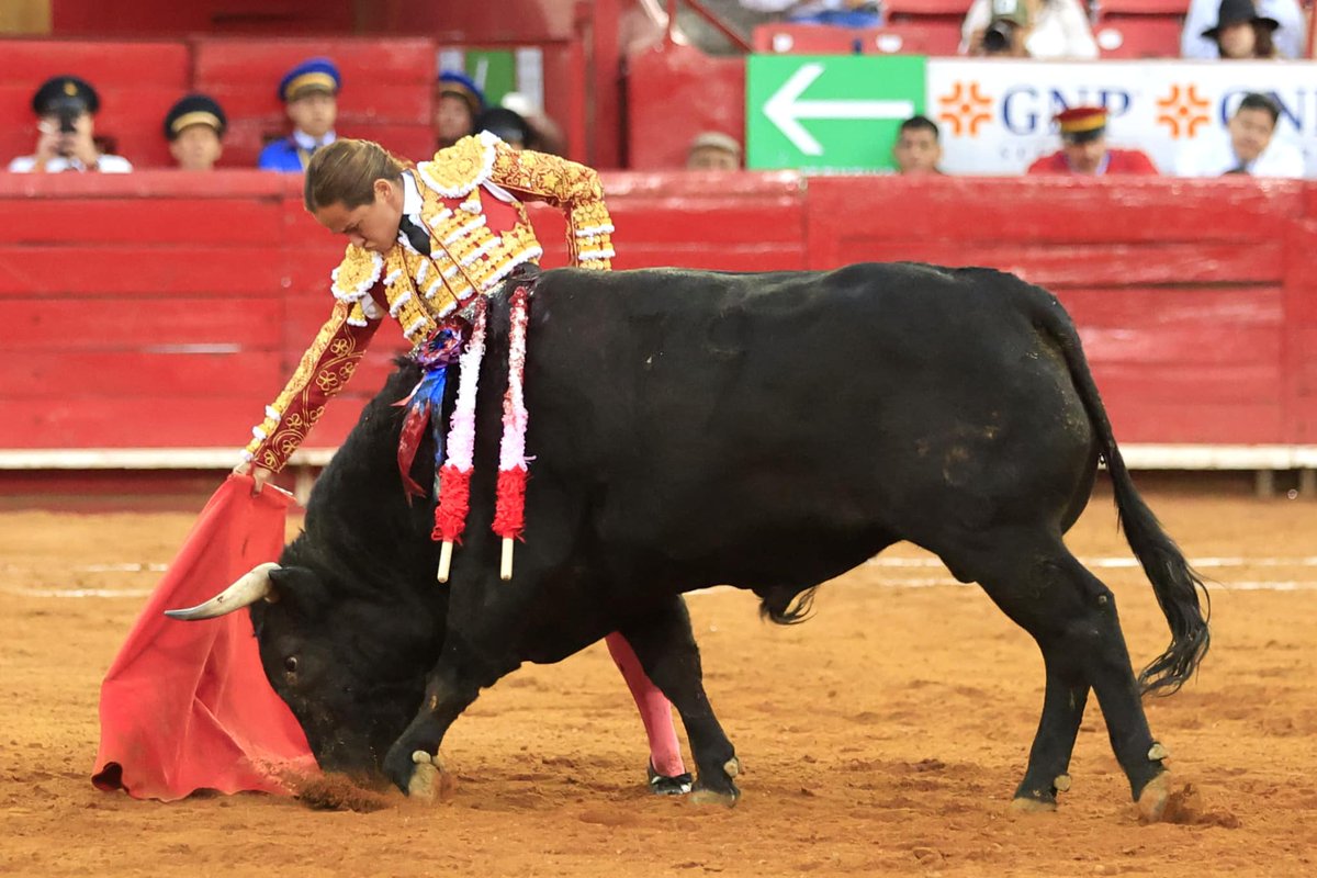 Toros Ecuador tweet media