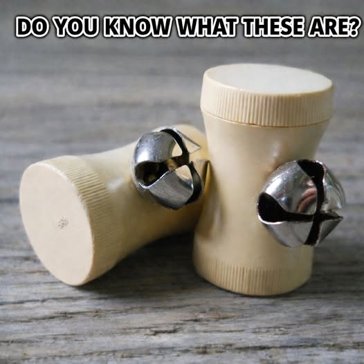 𝕊𝕥𝕖𝕧𝕖𝕟 𝕄. 𝕃𝕖𝕘𝕒𝕔𝕪 🇺🇸 tweet media