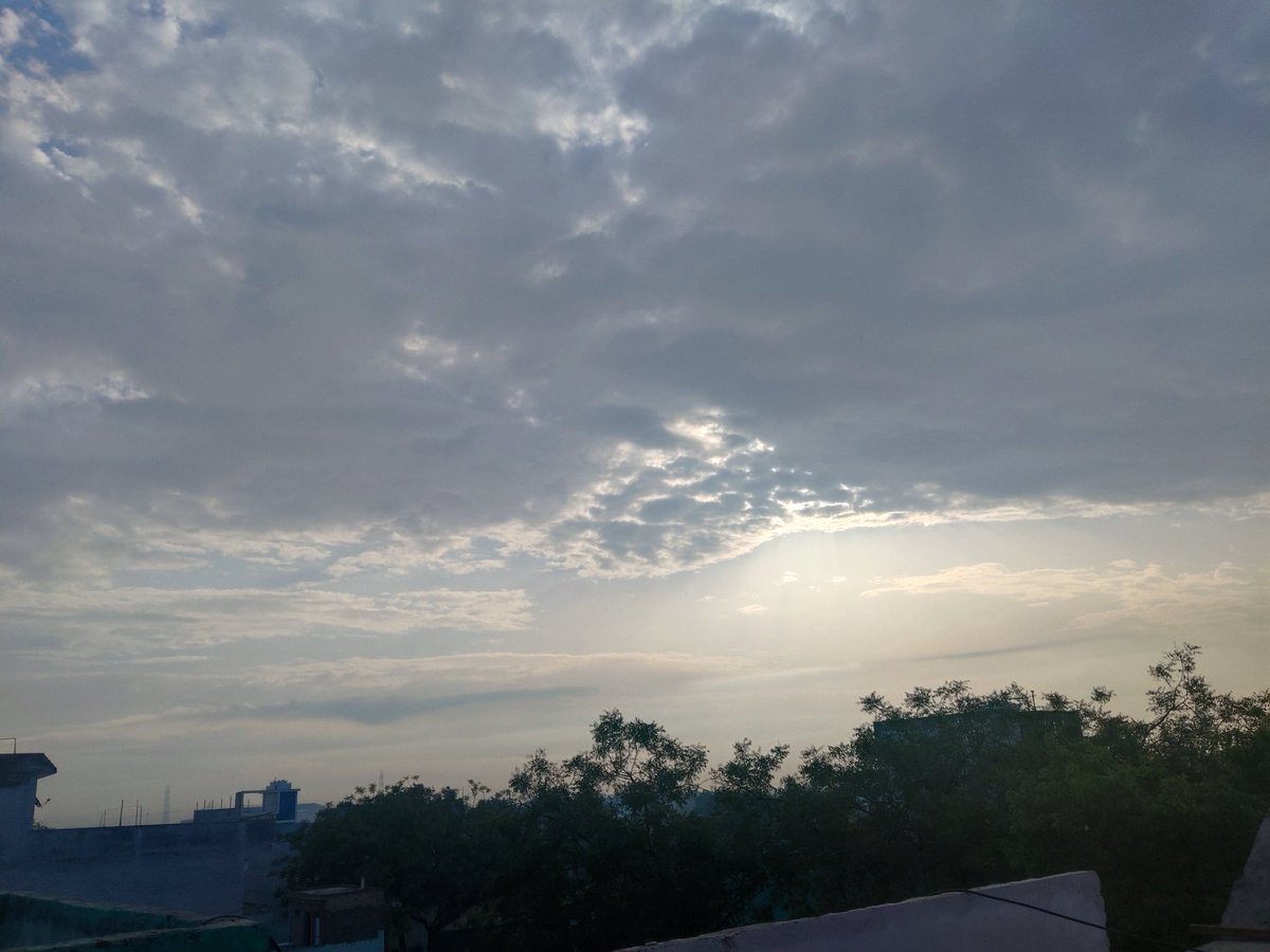 #Goodmorning 

Nature have its own vibes......😊😊

Good Morning 🌅🌅