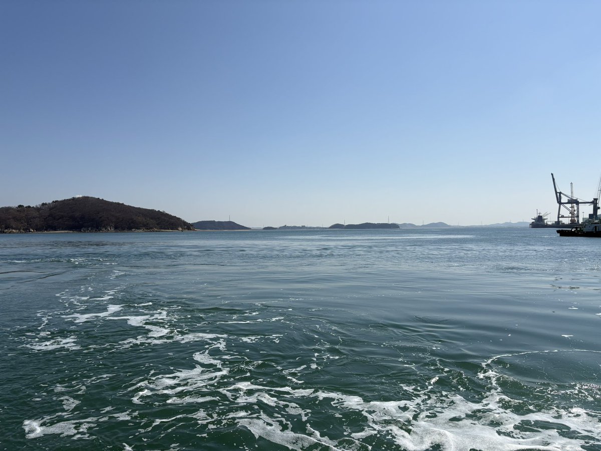 세슬라 tweet media