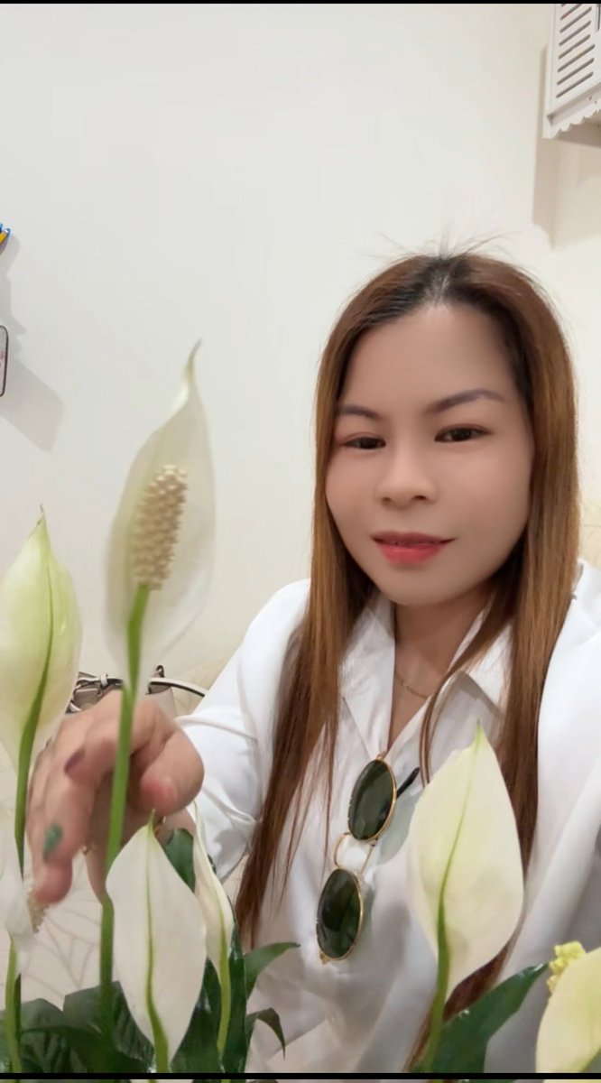 นวดเสรีไทย นวดอิสระ tweet media