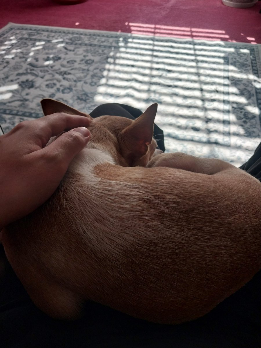 Leeroy9001🔞 🚭 tweet media