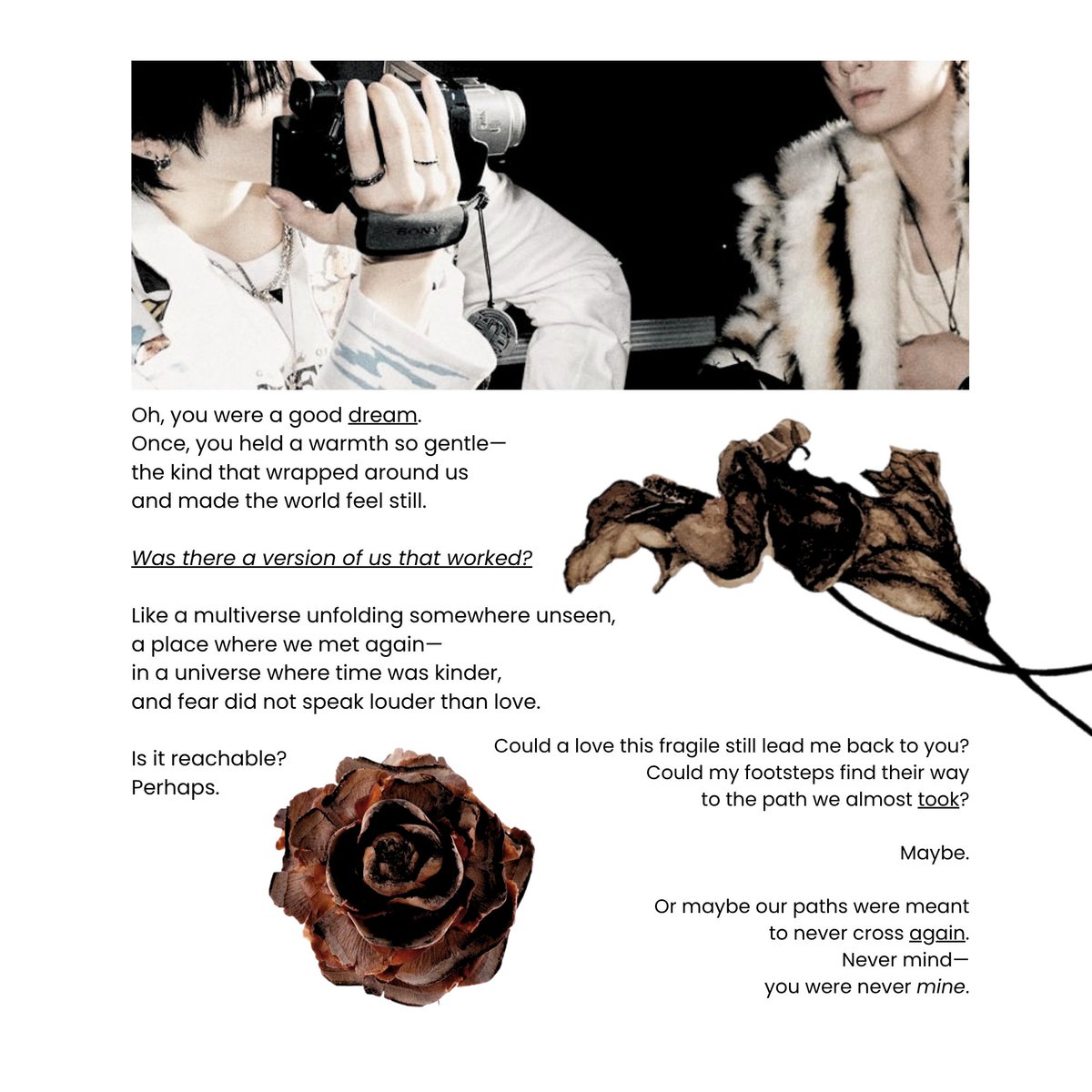 ️️ؘ tweet media