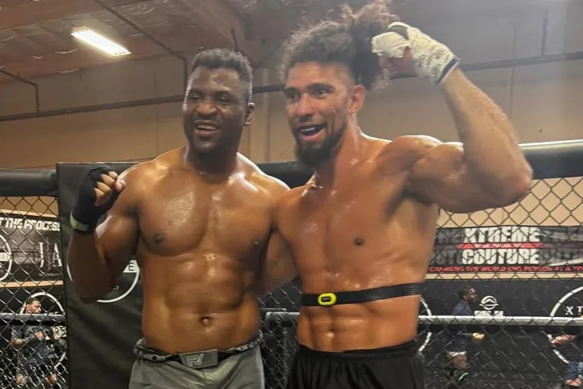 Fanáticos del MMA GT tweet media