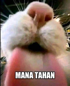 jjjjjjjj tweet media