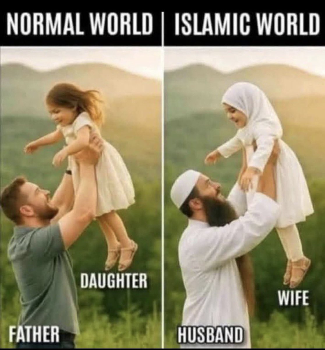 Thunder Chicken™️ tweet media