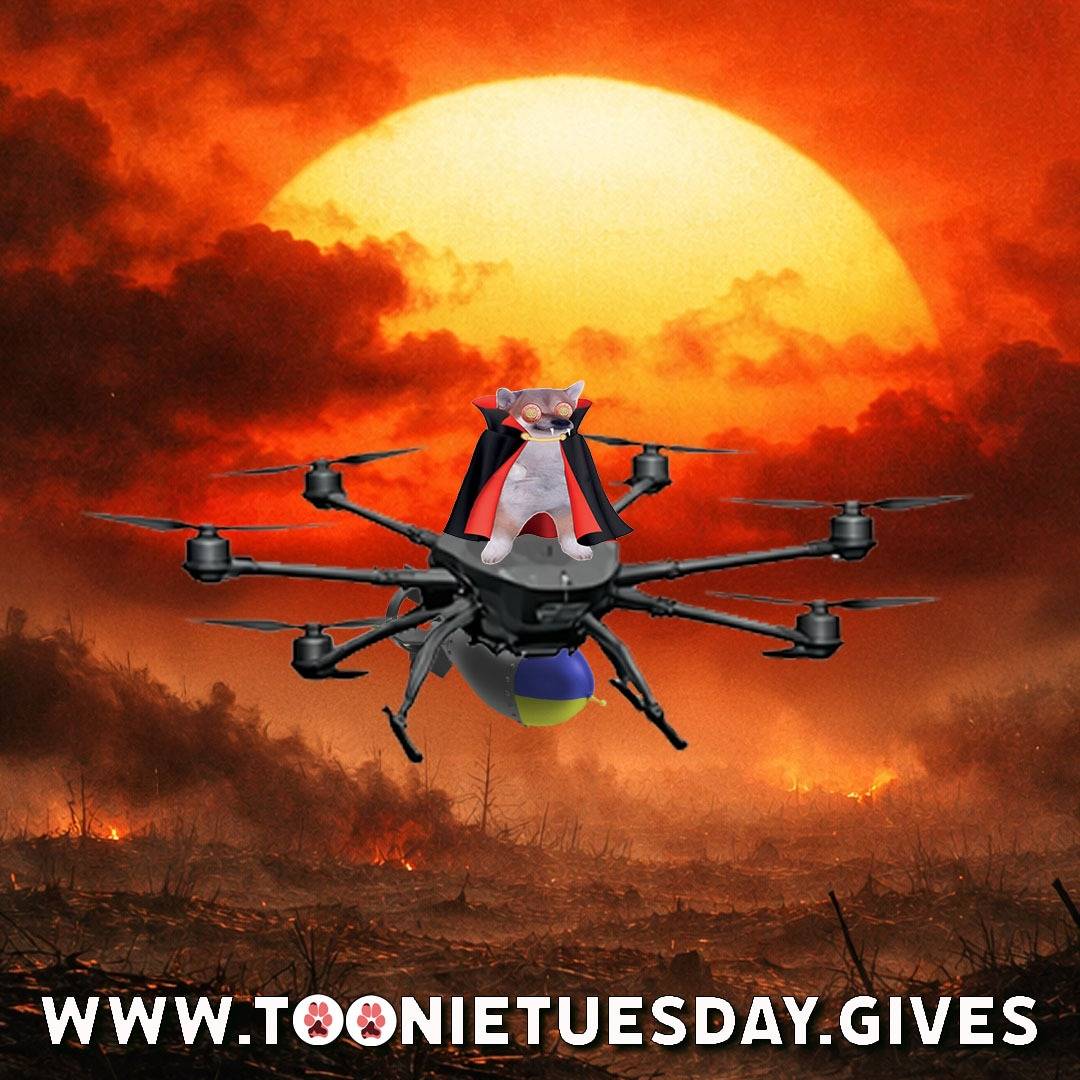 Official Toonie Tuesday 🎗️ tweet media