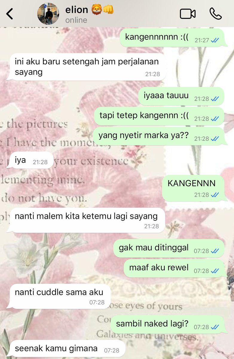 reychan☆ tweet media