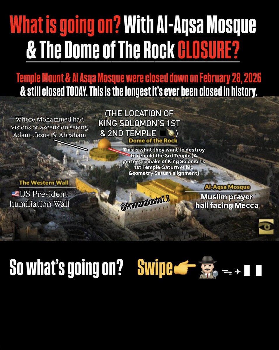 🍀Lucky Pramana Luciano 10x10🦧🏴‍☠️ tweet media