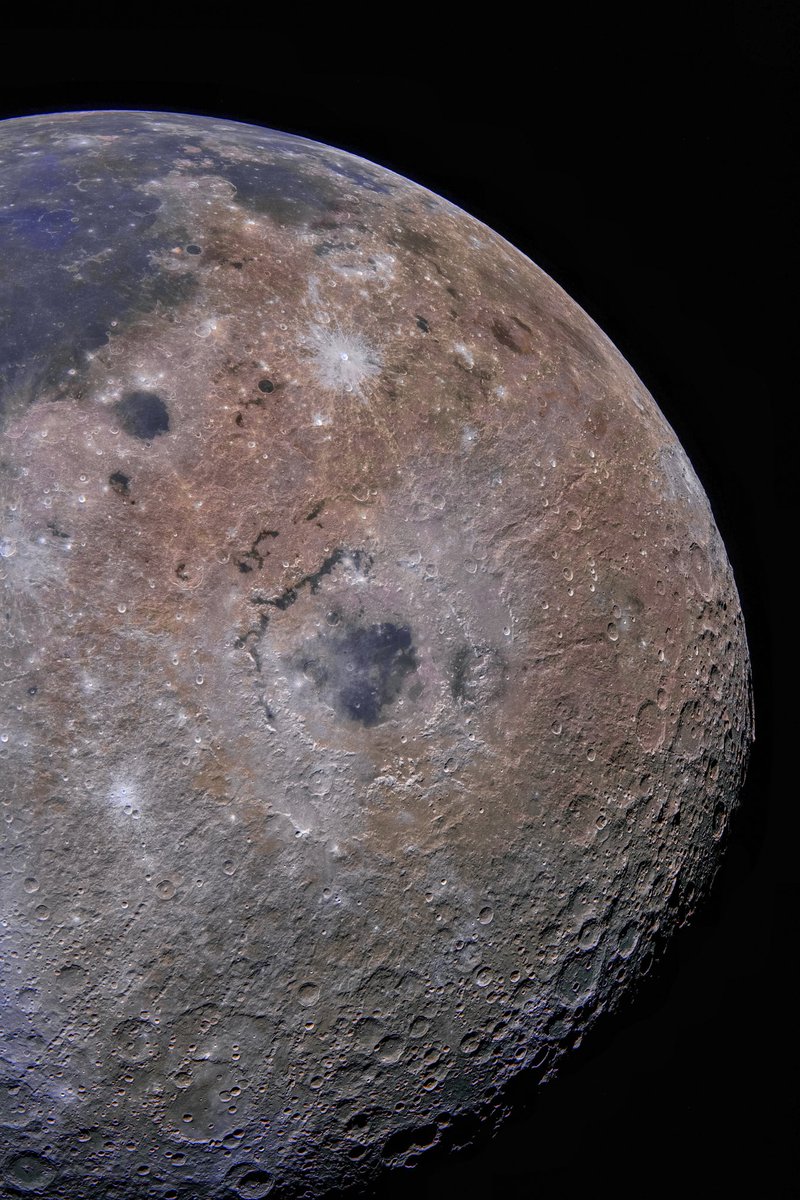 Franco Meconi tweet media