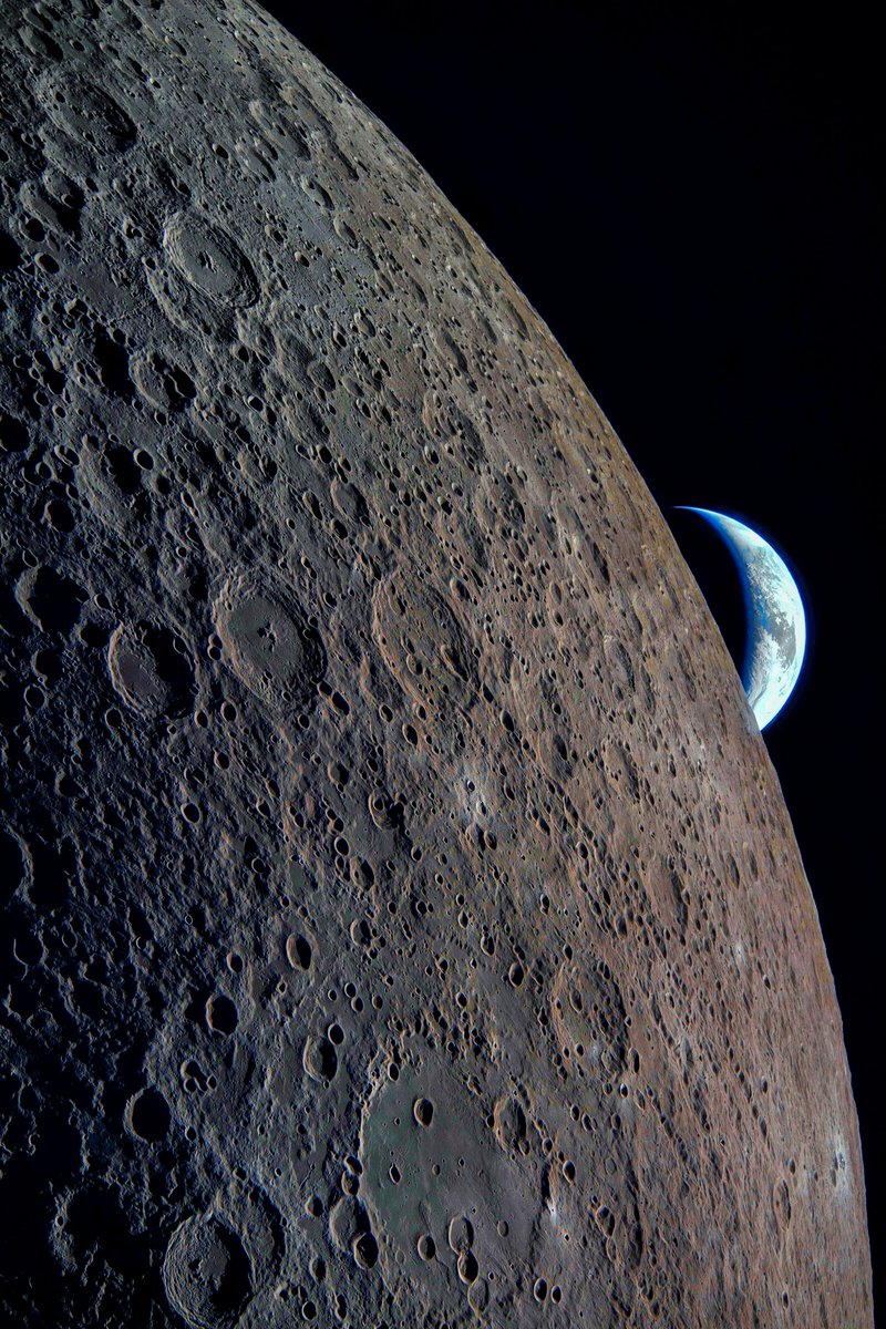 Franco Meconi tweet media